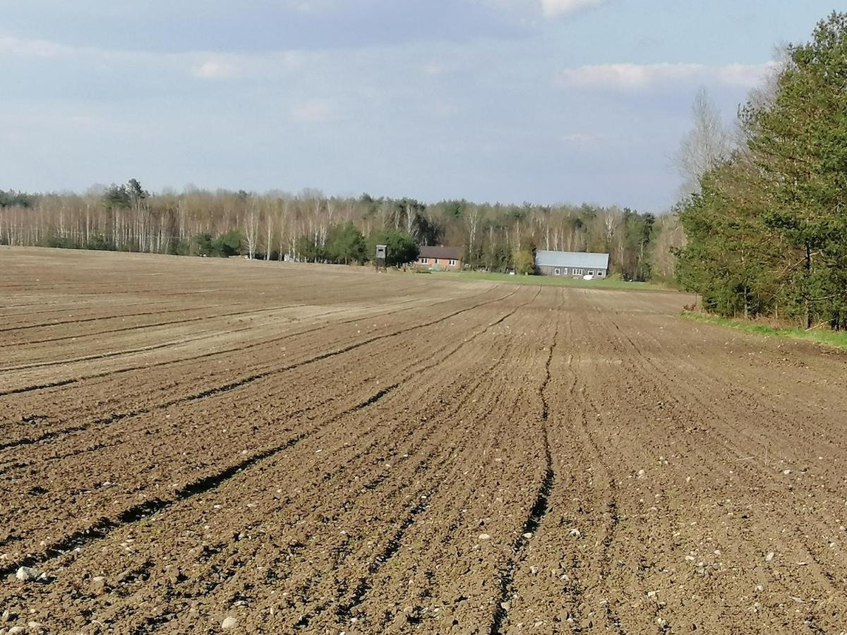 Agroturystyka Pod Dobrymi Skrzydlami Wiski ภายนอก รูปภาพ