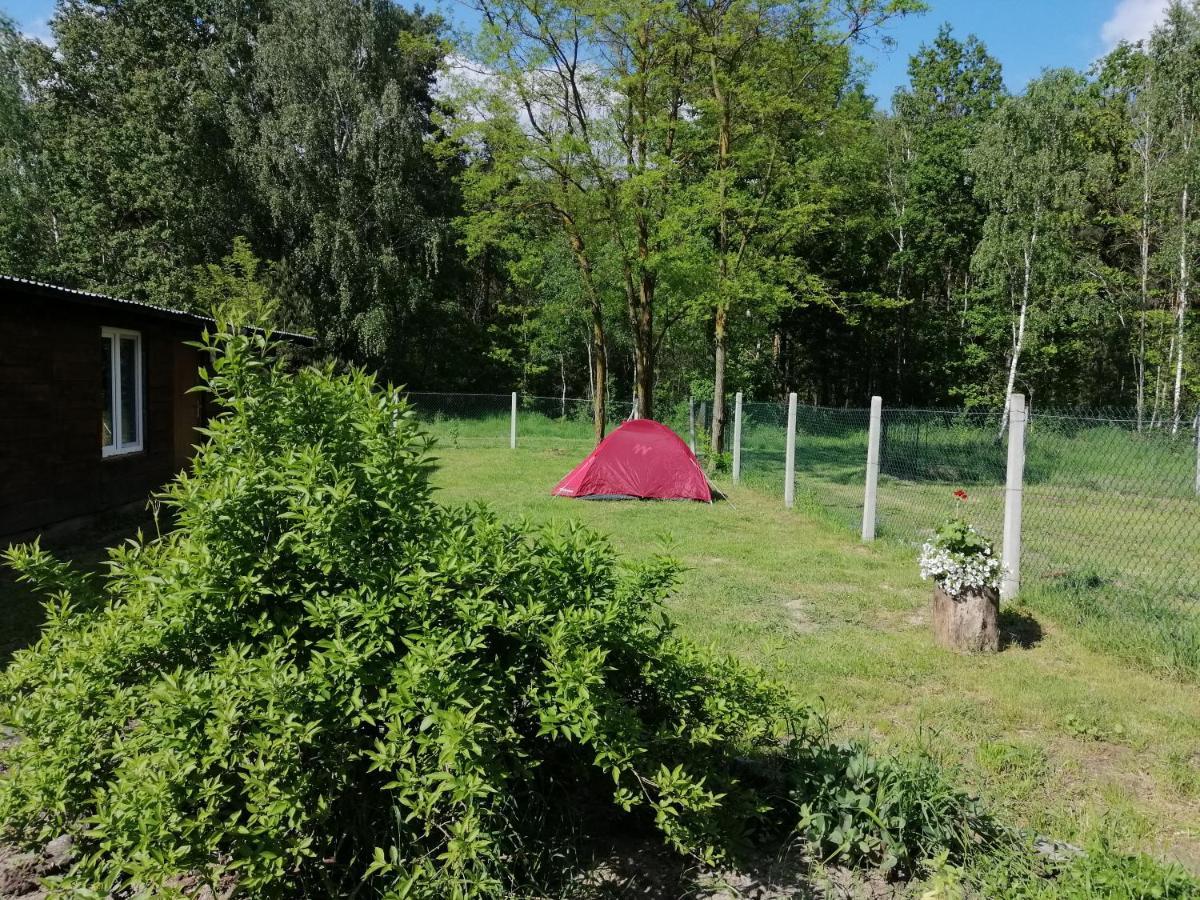 Agroturystyka Pod Dobrymi Skrzydlami Wiski ภายนอก รูปภาพ