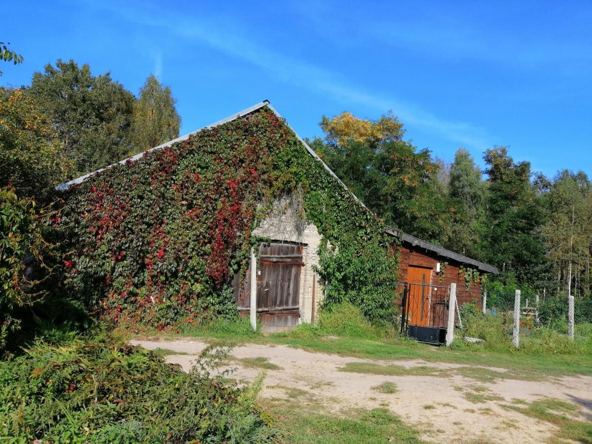 Agroturystyka Pod Dobrymi Skrzydlami Wiski ภายนอก รูปภาพ